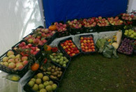 Zdjęcie przedstawia owoce od sadowników z gminy pod namiotem ŁODR
