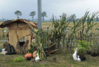 Zdjęcie przedstawia z lewej strony domek z zagrodą i sztucznymi zwierzętami, m.in.gęsi