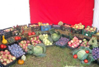 Wystawa owoców od sadowników z gmin: Sadkowic i Biała Rawska