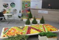 Zdjęcie przedstawia platformę z owocami