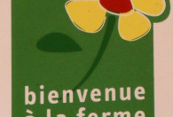 Zdjęcie przedstawia kwiatek z napisem w obcym języku